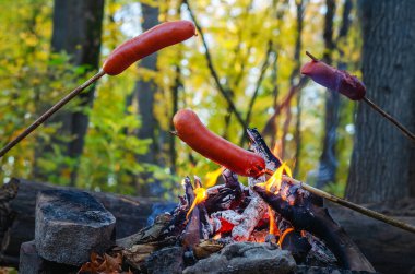 Yanan misafirler için ızgara sosis. Kamp ateşine asılmış sosisler. Ormanda kamp gezilerinde hızlı bir akşam yemeği. Açık ateşte kızarmış sosis. Macera konsepti.