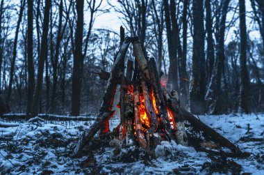 Kamp ateşinin, parlayan közlerle, yükselen kıvılcımlarla ve sıcak ışıkla aydınlatılan ahşap kütüklerle yakın çekim görüntüsü. Atmosferik sahne doğal ateş dinamiklerini yakalıyor.