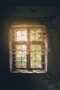 Terk edilmiş, içi tozlu pencereli, güneş ışığının filtrelediği eski bir ev. Örümcek ağları ve kirli tüller ve ağda sinekler ve böcekler..