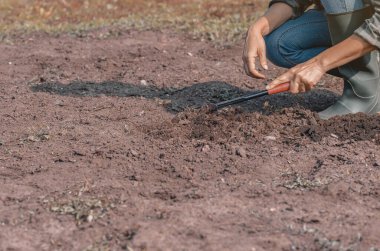 Kadın toprağı ekime hazırlıyor, yavaş yaşamı, kişisel gelişimi, refahı, bahçıvanlığı ve ticari ve yaşam tarzı hikayeleri için doğayla bağlantıyı sembolize ediyor. Boşluğu kopyala
