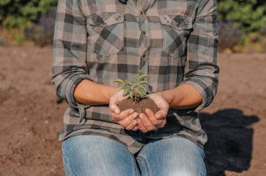 El ele tutuşmak, iş büyümesi ve başlangıç yatırım kavramı. Kalkınma, destek, bakım ve uzun vadeli başarı sembolü.