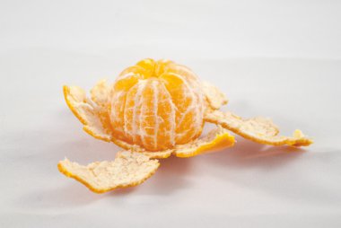 Mandalina studio fotoğraf