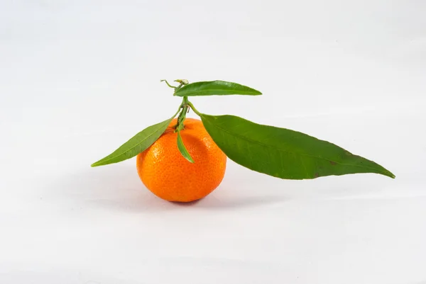 Tangerines studio photo — Stock Photo, Image