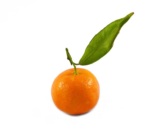 Tangerines studio photo — Stock Photo, Image