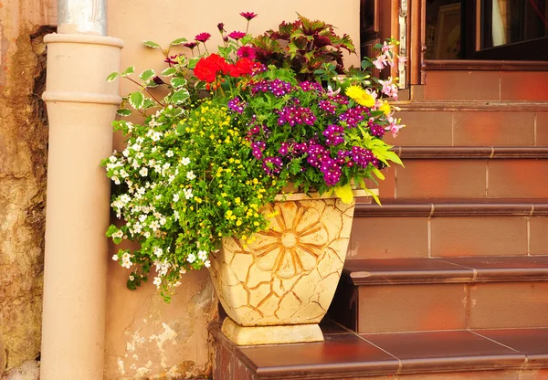 Primavera vasos de flores e jardim galpão. Cama de flores em vaso de flores acolhedor para a decoração da porta de entrada. Casa de flores Decoração . — Fotografia de Stock