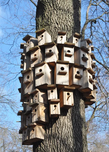 Casas de pássaros no início da primavera — Fotografia de Stock