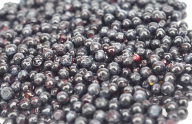 Funda mavi renk, yaygın bilberry, whortleberry, huckleberry veya Avrupa yaban mersini denilen yenilebilir meyve ile türdür: Vaccinium myrtillus. 