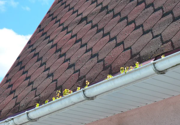 Typowe Problemy Rynny Mech Dachu — Zdjęcie stockowe