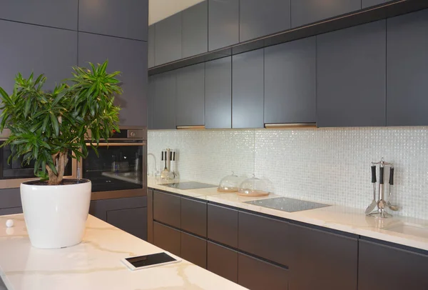 A modern kitchen interior with a white countertop, gray cabinet decorated with green potted plant and a large mirror incorporated into a kitchen corner to create the illusion of space, add depth.