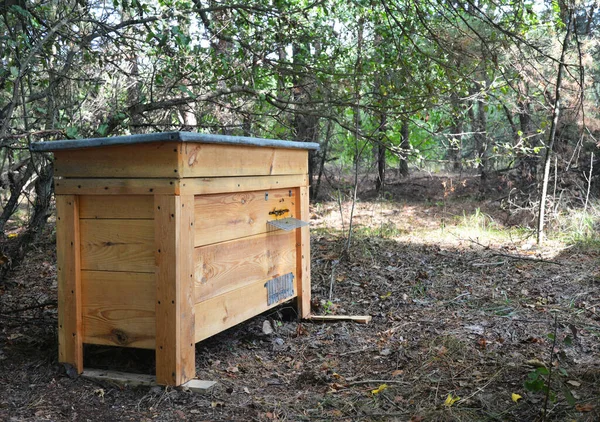 Een Houten Horizontale Bijenkorf Met Actieve Honingbijen Die Stuifmeel Nectar — Stockfoto