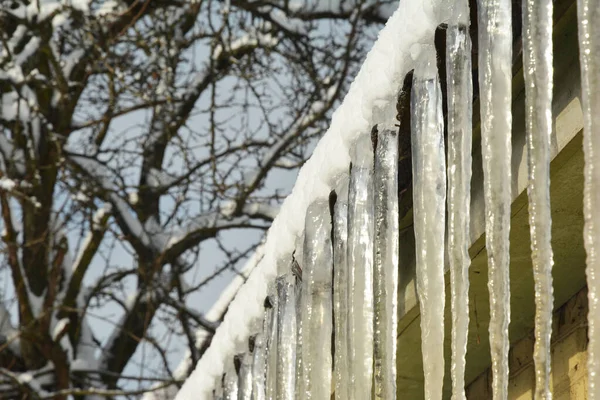 Large icicles are hanging along the edge a house roof as a sign of roof problems. Ice dams on the roof in winter.