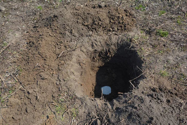 Planten Van Bomen Een Groot Gegraven Gat Bodem Met Minerale — Stockfoto