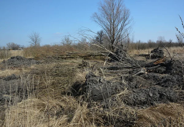 Wykarczowanie Oczyszczanie Usuwanie Drzew Krzewów Leśnych Celu Zwiększenia Uprawianej Gleby — Zdjęcie stockowe