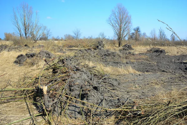 Droogte Landbouw Geveegd Gekapt Gezuiverd Bomen Struiken Stronken Met Een — Stockfoto