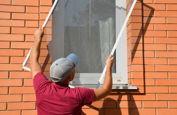 Man Installerar Mygga Insektsfönster Skärm Nät Ett Hus Fönster För — Stockfoto