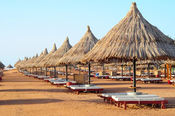 Sonnenschirme am Strand mit grünen Kokospalmen, Strohschirmen und Holzliegen — Stockfoto