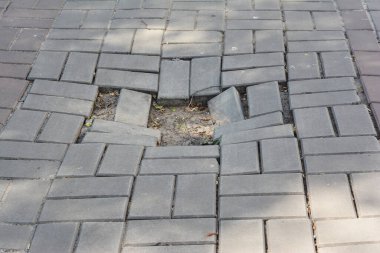 Kırık kaldırım taşları bir bahçe yolunda