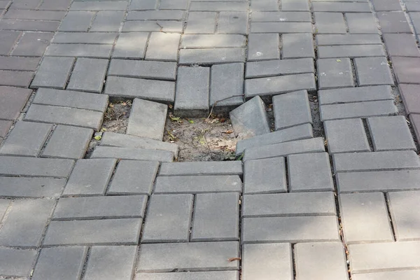 Kırık kaldırım taşları bir bahçe yolunda