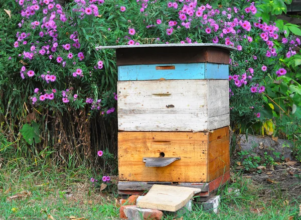 Cozy Old Beehive no Jardim e Aster amellus flores como um fundo em autunm . — Fotografia de Stock