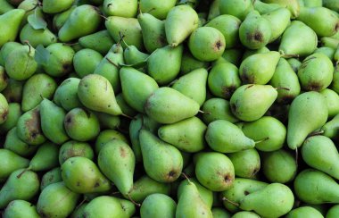 Yeşil armut arka plan 