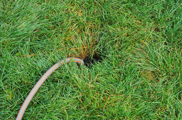 Closeup Attached Hose Watering Grass Yard Garden Irrigation System Detail — Stock Photo, Image