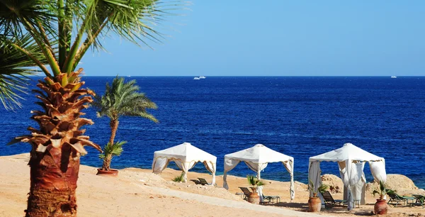 Vackra tropiska stranden landskap med blå himmel — Stockfoto