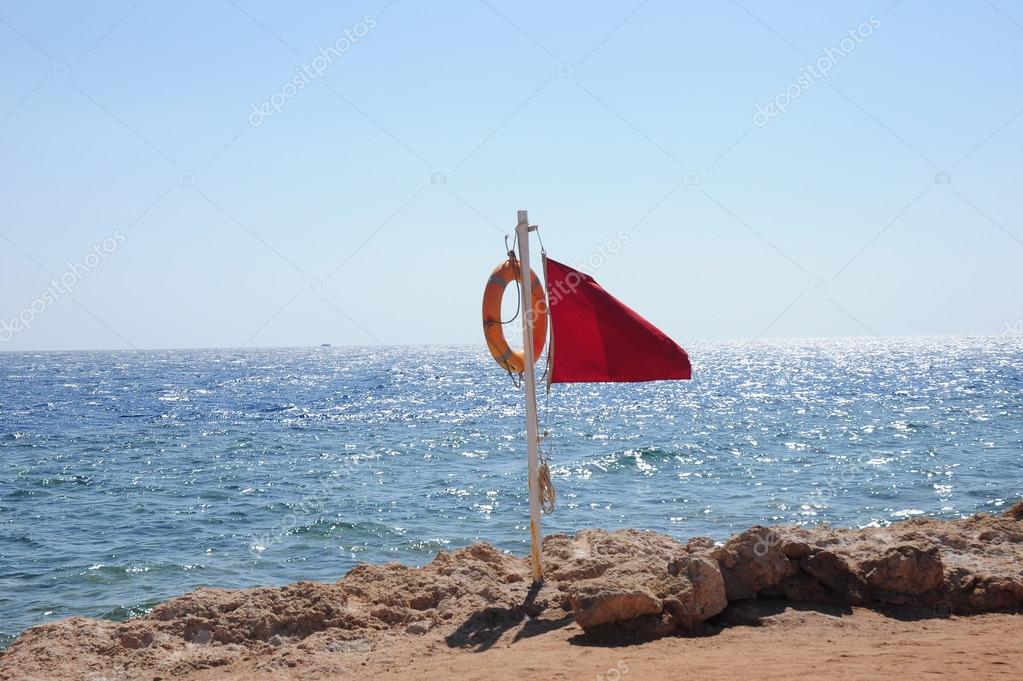 plenty of fish login