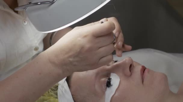 Kosmetolog göra färgning av ögonfransar till vuxen kvinna i beauty saloon. — Stockvideo