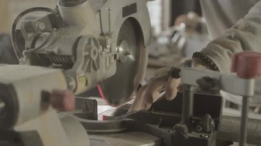 Profesyonel marangoz ahşap tahta kenarına daire testere tarafından kesilmiş. Woodworker