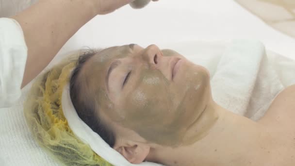 Esthéticienne mettre masque en argile verte sur femme visage par brosse dans le saloon . — Video