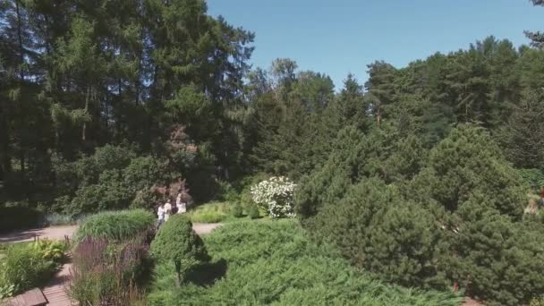 Quadrocopter schiet mooie groene zomertuin met veel bomen. Zonnige dag. Verschillende mensen — Stockvideo