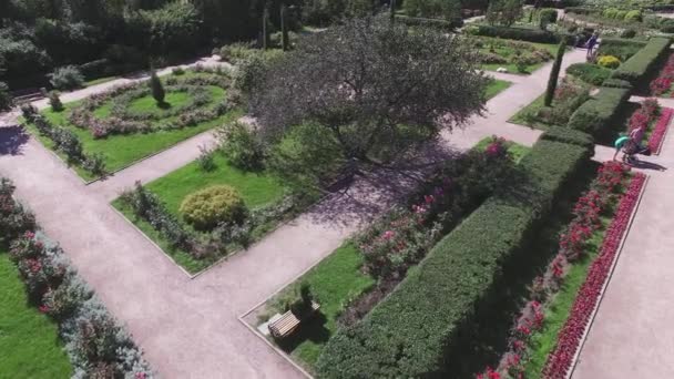Quadrocopter は、美しい緑の夏の庭を撮影します。花壇。人々。雲一つない快晴. — ストック動画