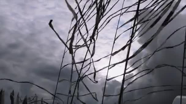 Nastri bianchi e neri che ondeggiano dal vento durante il giorno estivo. Cielo grigio prima della forte pioggia. Nuvole nere — Video Stock