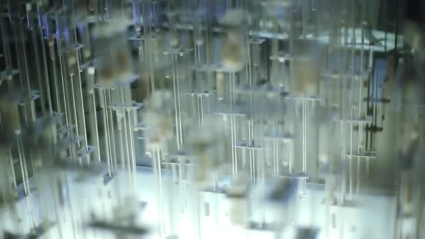 Vue de nombreuses flacons transparents dans des supports remplis de différentes pastilles, pierres. Le musée. Exposition — Video