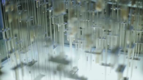 Vue du mur avec de nombreuses fioles en verre dans des supports remplis de différentes pastilles, pierres. Le musée. Exposition — Video