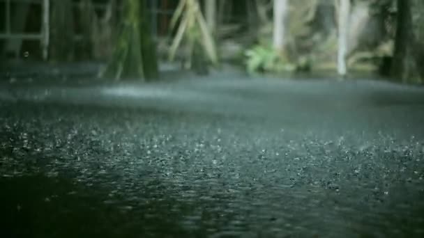 Προβολή στο βρέχει σταγόνες συντριβή στο έδαφος. Καλοκαιρινή μέρα. Νεροποντή. Λακκούβες. Καταρρακτώδεις βροχές. Υγρά τροπικά μέρη δέντρου — Αρχείο Βίντεο