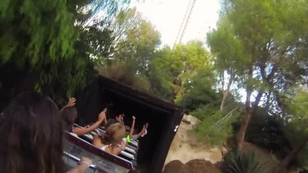 La gente monta en una montaña rusa en un parque de atracciones dentro de un túnel oscuro. Un vagón. Atracción. Entretenimiento — Vídeo de stock