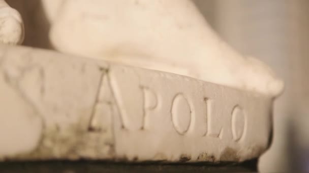 Άποψη του λευκό άγαλμα του Απόλλωνα μπροστά από το παλάτι της Αικατερίνης στην Αγία Πετρούπολη. Το βράδυ. ΦΑΚΟΙ — Αρχείο Βίντεο