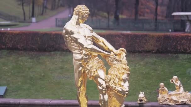 Vista de la figura dorada de Sansón en la Reserva del Museo Estatal Peterhof. Día de otoño. La fuente no funciona. — Vídeos de Stock