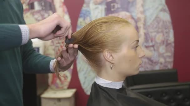 Cabeleireiro profissional pentear o cabelo molhado da menina loira no salão de beleza. Preparar para cortar o cabelo — Vídeo de Stock