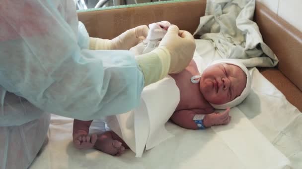 La enfermera se puso un pañal desechable en el bebé recién nacido llorando en pañales después del nacimiento. Hospital de maternidad . — Vídeos de Stock