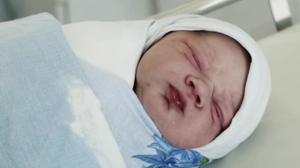 Swaddled newborn baby squint from daylight, lay in maternity hospital in blue blanket. Neonate — Stock Video