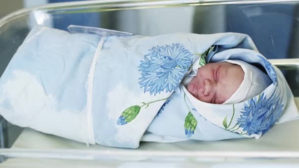 Swaddled i blå filt nyfödd baby lay i förlossningsklinik i genomskinlig låda. Nyfödda barn — Stockvideo