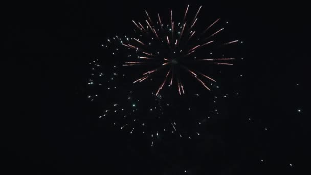 Esplosione di colpi multicolori di fuochi d'artificio nel cielo notturno. Fai saltare in aria. Illuminazioni. Brillante. Flash — Video Stock