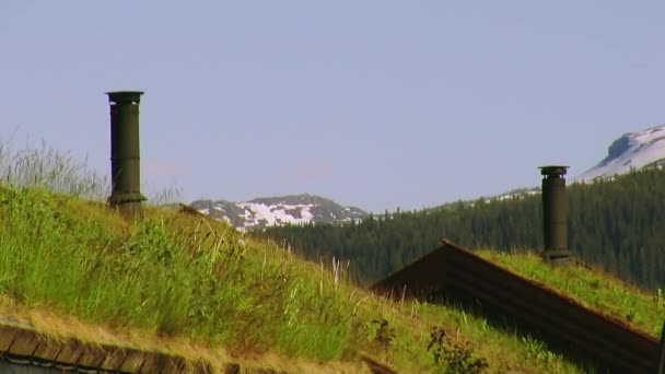 두 개의 검은 파이프와 작은 집의 지붕에 바람에서 물결치는 녹색 잔디. 여름입니다. 산. — 비디오