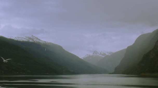 Panoramisch uitzicht op de rivier op vulkanen gedekt door groene bossen in zomerdag. Rook. Vliegende meeuwen — Stockvideo