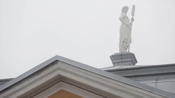 SAN PETERSBURG, RUSIA - 27 DE OCTUBRE DE 2013: Vista de la escultura femenina blanca con remo en la azotea del edificio histórico. Cielo gris. Día. — Vídeo de stock