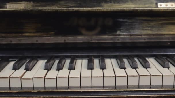 Hombre tocando la melodía en el piano por ambas manos. Músico. Talento. Canción. Teclas blanco y negro . — Vídeo de stock