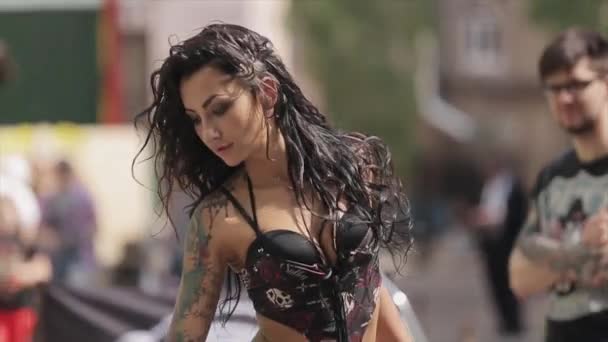 Vidéo d'un tatou sexy Vidéo d'un tatou sexy
