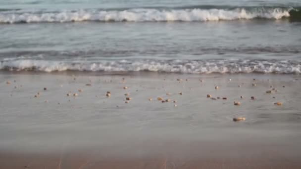 Tejidos de mar calma en la playa en el día de verano . — Vídeo de stock